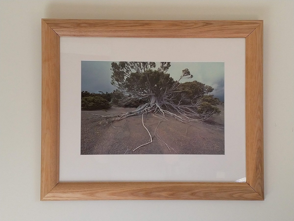 As pretty as a&nbsp;picture